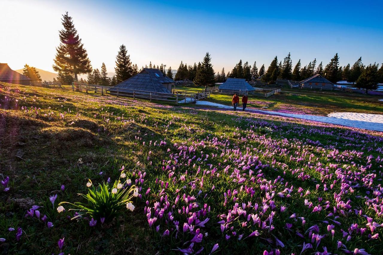 Glamping Ob Robu Gozda Hotel Kamnik Bagian luar foto